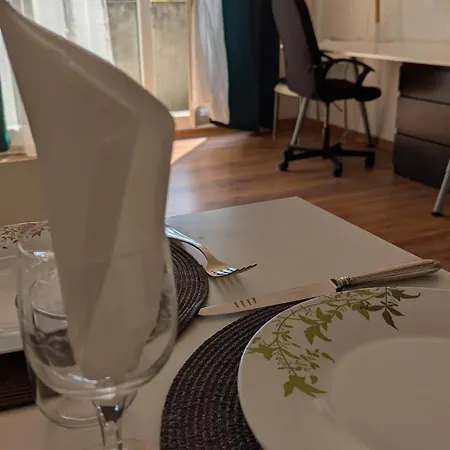 Superbe Studio 45 M Renove Avec Balcon Et Parking Gratuit 格勒诺布尔