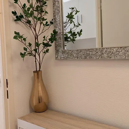 Superbe Studio 45 M Renove Avec Balcon Et Parking Gratuit 格勒诺布尔