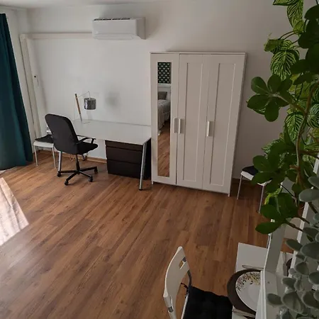 Superbe Studio 45 M Renove Avec Balcon Et Parking Gratuit * 格勒诺布尔