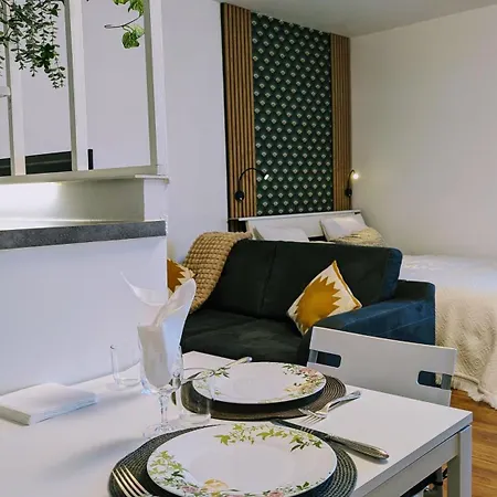 Superbe Studio 45 M Renove Avec Balcon Et Parking Gratuit *