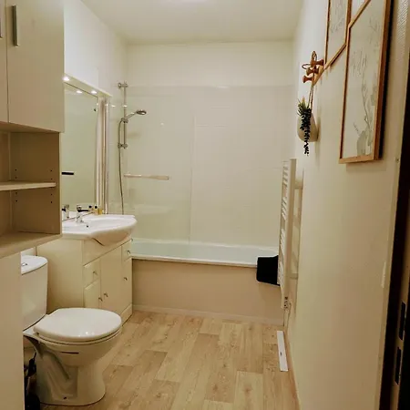 Superbe Studio 45 M Renove Avec Balcon Et Parking Gratuit 格勒诺布尔