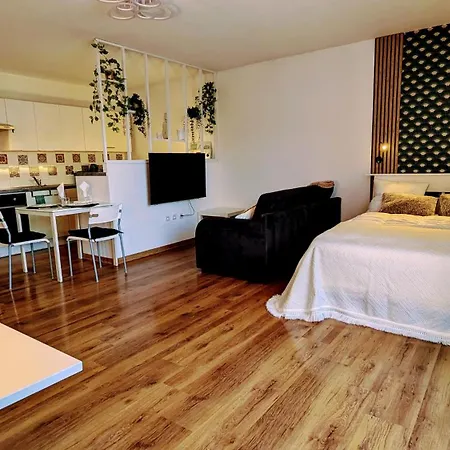 Superbe Studio 45 M Renove Avec Balcon Et Parking Gratuit * 格勒诺布尔