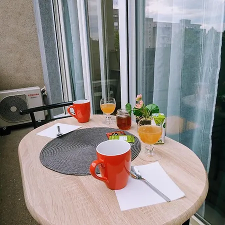 Superbe Studio 45 M Renove Avec Balcon Et Parking Gratuit 公寓 *