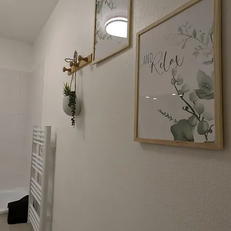 Superbe Studio 45 M Renove Avec Balcon Et Parking Gratuit 公寓 *