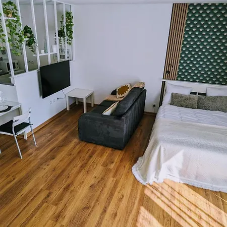 Superbe Studio 45 M Renove Avec Balcon Et Parking Gratuit 格勒诺布尔
